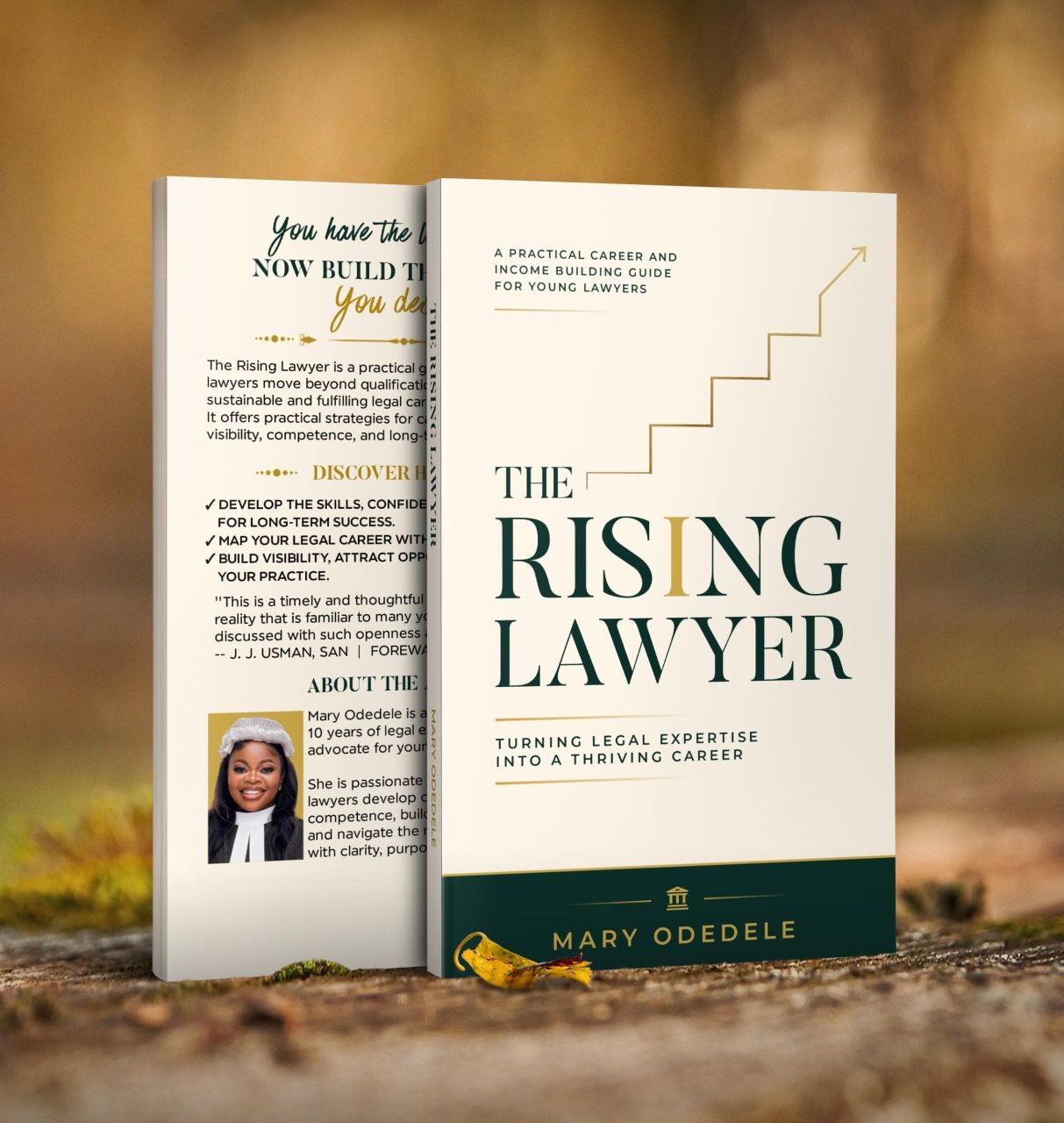 The Rising Lawyer book cover